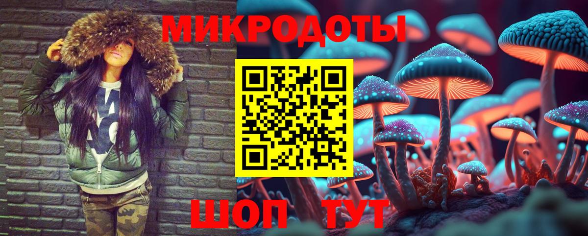 Галлюциногенные грибы Psilocybine cubensis Ухта