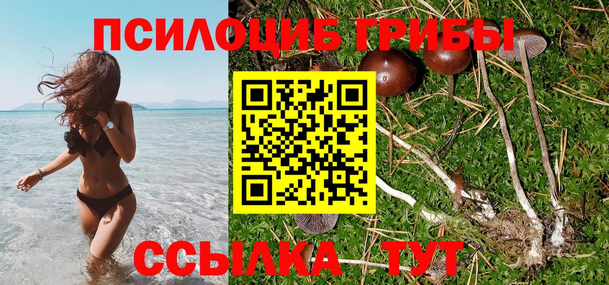 Галлюциногенные грибы Psilocybe  Галлюциногенные грибы MAGIC MUSHROOMS  Ухта  Вход с VPN 